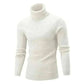 Men's Fashion Style Store Autum Winter Warm Turtleneck Sweater