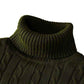 Autum Winter Warm Turtleneck Sweater.